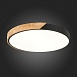 Светильник потолочный Черный, Светлое дерево/Белый LED 1*45W 3000K/4000K/6000K SLE200942-01 - фото