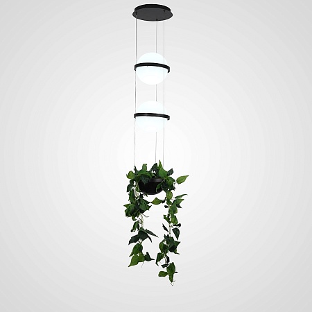 Подвесной Светильник Palma Wall Lamp 2 Шара + 1 Вазон Imperiumloft 168491-22 - фото