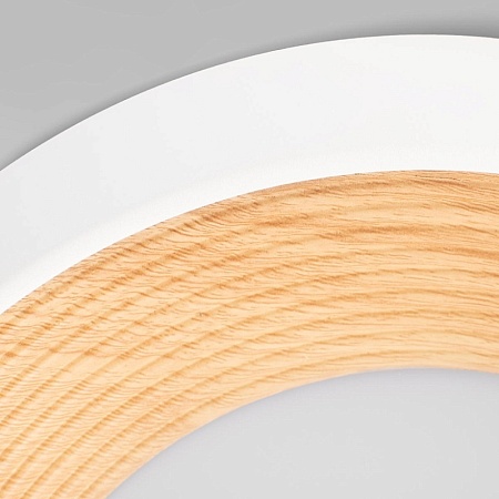 10255/350 White Потолочный светильник LOFT IT Folk - фото