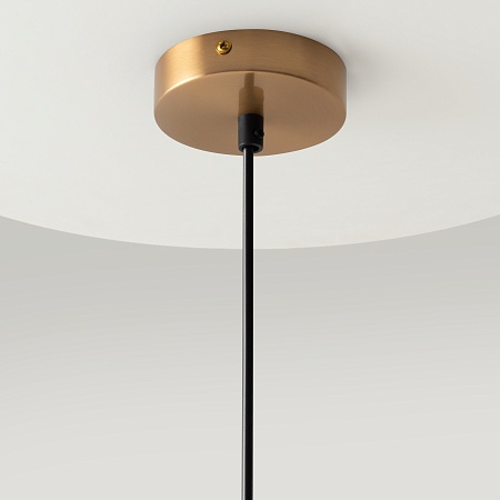 Подвесной светильник Maytoni Ring MOD013PL-02BS1 - фото