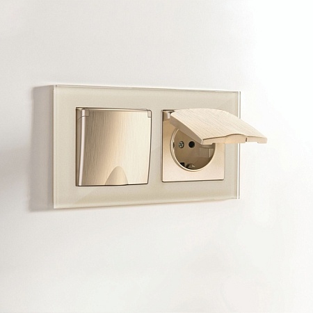 Розетка влагозащ. с зазем. с защит. крышкой и шторками (шампань рифленый) W1171210 - фото