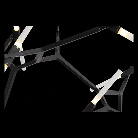 Люстра потолочная ST-Luce Черный/Белый G9 20*5W SL947.402.20 - фото