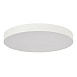 Светильник потолочный Черный LED 1*36W 3000K 3 240Lm Ra>90 120° IP20 D300xH55 180-240V ST606.432.36 - фото