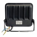 Светодиодный прожектор Feron.PRO LL-1000 IP65 50W 6400K черный - фото