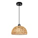 Подвесной светильник Arte Lamp BRUSHWOOD A7086SP-1BK - фото