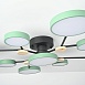 Потолочная Люстра Gamma D98 Green Imperiumloft 223772-23 - фото