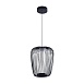 Подвесной светильник Arte Lamp FLARE A3528SP-12BK - фото