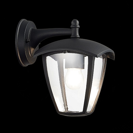 Светильник уличный настенный ST-Luce Черный/Черный, Прозрачный E27 1*40W SL081.411.01 - фото