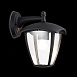 Светильник уличный настенный ST-Luce Черный/Черный, Прозрачный E27 1*40W SL081.411.01 - фото