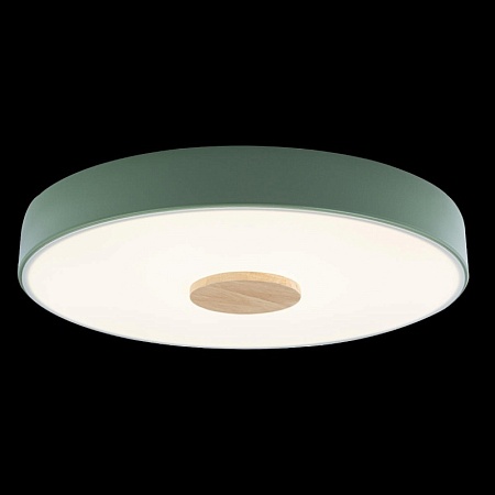 10003/24 Green Потолочный светильник LOFT IT Axel - фото