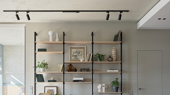 Трековый светильник Technical BASIS TR000-1-12W3K-B - фото