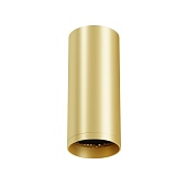 Потолочный светильник Technical C010CL-01MG-N