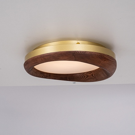 Потолочный Светильник Runis D45 Dark Brown Imperiumloft 219474-26 - фото