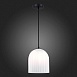 Светильник подвесной ST-Luce Черный/Белый E27 LED 1*7W SL1302.403.01 - фото