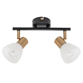 Спот Arte Lamp FALENA A3117PL-2BK