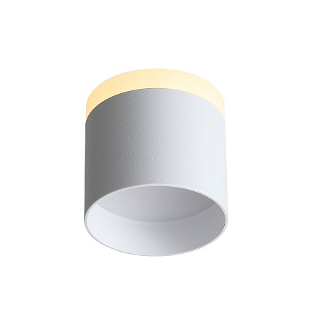 Светильник потолочный Белый LED 1*9W 3000K 702Lm Ra>80 120° IP20 D79xH75 170-240V ST102.502.09 - фото