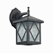 Светильник уличный настенный ST-Luce Черный/Черный, Прозрачный E27 1*60W SL084.411.01 - фото