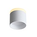 Светильник потолочный Белый LED 1*9W 3000K 702Lm Ra>80 120° IP20 D79xH75 170-240V ST102.502.09 - фото