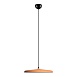 10119 Orange Подвесной светильник LOFT IT Plato - фото
