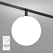 Светильник на шине Denkirs SMART MOON DK8051-BK - фото