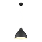 Подвесной светильник Arte Lamp BRACCIO A2055SP-1BK