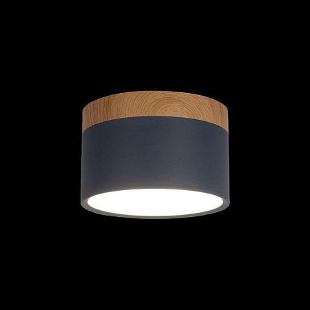 10162 Blue Накладной светильник LOFT IT Grape - фото