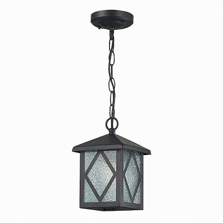 Светильник уличный подвесной ST-Luce Черный/Черный, Прозрачный E27 1*60W SL084.403.01 - фото