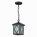 Светильник уличный подвесной ST-Luce Черный/Черный, Прозрачный E27 1*60W SL084.403.01 - фото