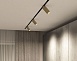 Светильник на шине Denkirs SMART SPOT DK8020-BG - фото