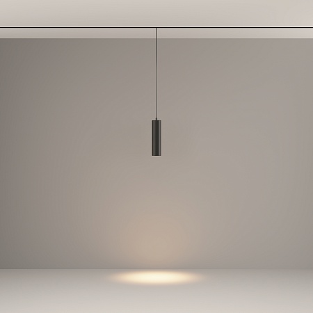 Трековый светильник Technical FOCUS LED TR041-2-12W3K-B - фото