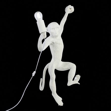 Светильник настенный Белый E27 1*60W SLE115111-01 - фото