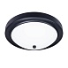 Потолочный светильник Arte Lamp JAMES A4049PL-3BK - фото