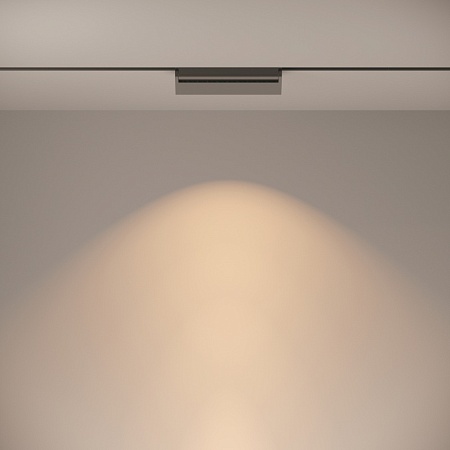 Трековый светильник Technical Basis Rot TR013-2-20W3K-B - фото