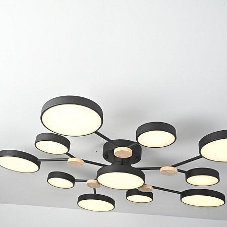 Потолочная Люстра Gamma D102 Black Imperiumloft 223770-23 - фото