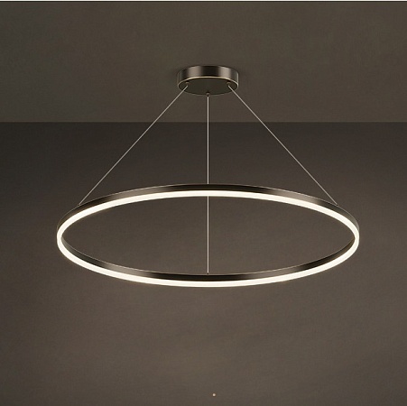 Кольцевая Люстра Cruise One Lux D40 Imperiumloft 204620-23 - фото