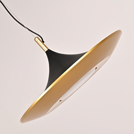 Подвесной Светильник Rask D50 Imperiumloft 309065-26 - фото