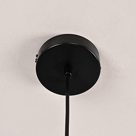 Подвесной Светильник Hoop Drop Black Imperiumloft 213738-26 - фото