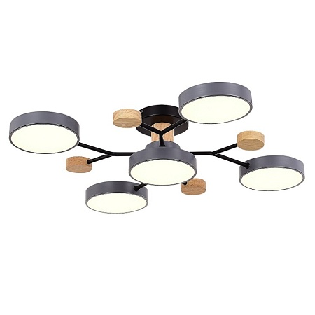 Светильник потолочный Серый/Серый LED 5*12W 3000K/4500K/6000K SLE6006-702-05 - фото