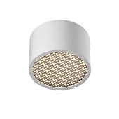 Потолочный светильник Technical C122CL-GX53-W