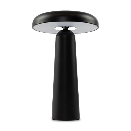 Аккумуляторный светильник Freya FR6109TL-L4B - фото