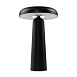 Аккумуляторный светильник Freya FR6109TL-L4B - фото