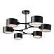 Светильник потолочный Черный/Черный E14 6*60W SLE183402-06 - фото