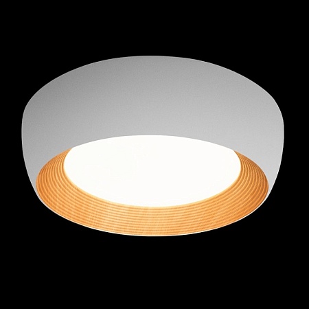 10255/500 White Потолочный светильник LOFT IT Folk - фото