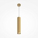 Подвесной светильник Technical Focus Design P038PL-01G - фото