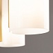 Потолочный светильник Freya Fiore FR5368CL-14BS - фото