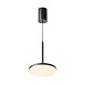 Подвесной светильник Technical Plato P076PL-L12W3K-B - фото