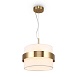 Подвесной светильник Freya Bride FR5367PL-01BS - фото