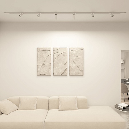 Светильник на шине Denkirs Scope DK6060-BW+BK - фото