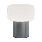 Настольный светильник Maytoni MOD404TL-01GR