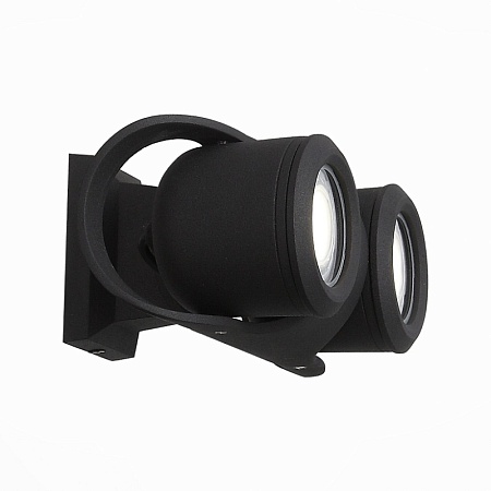 Светильник уличный настенный ST-Luce Черный/Черный, Прозрачный G5,3 2*3W SL093.401.02 - фото
